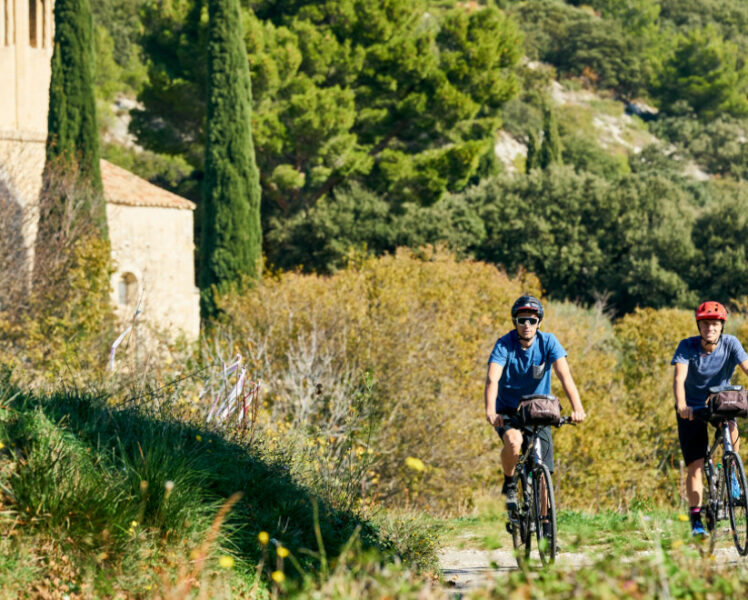 Detox mit einer Fahrradtour im Vaucluse © Rosso